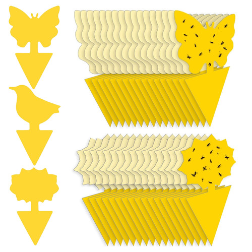 30pcs fruit fly traps insects - 30pcs,