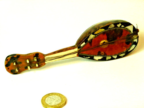 Superb small miniature - superb, small/miniature