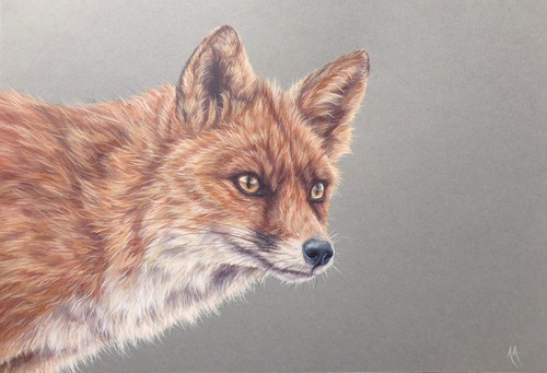 Fox original painting by - painting,