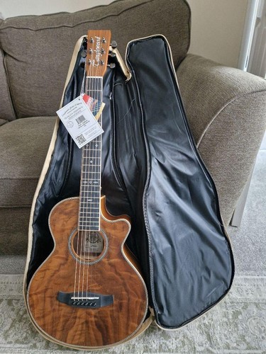 Tanglewood electric acoustic - tanglewood,