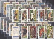 BROOKE BOND (TEA)-FULL SET-