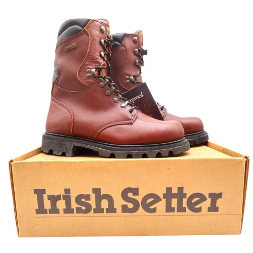 Irish setter 828 stag - setter, hunting