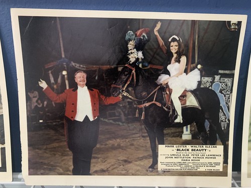 Black beauty 1971 original - black,