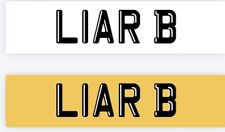 LIARB REG PLATE ON RETENTION