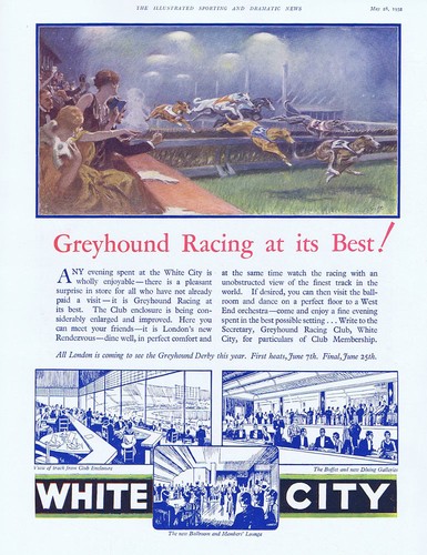 White city greyhound racing - racing,
