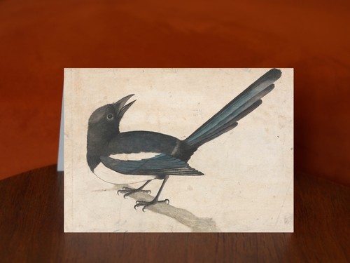 Magpie john bewick a5 - john,