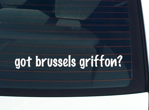 Got brussels griffon car - brussels, griffon?