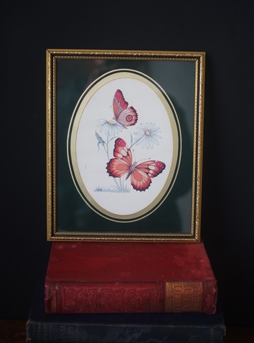 Vintage framed butterflies - vintage,