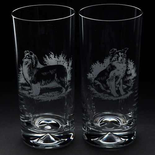 Sheltie dog highball glass - highball,