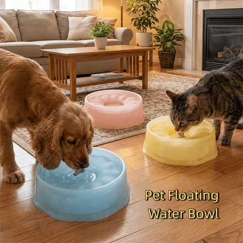 Dog floating water - dog, bowl