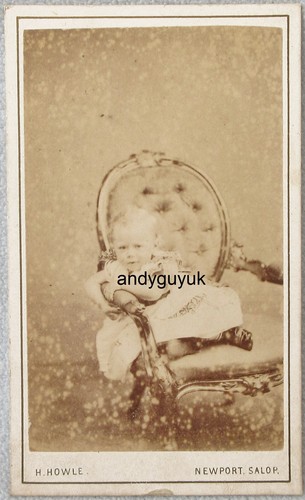 Cdv howle newport shropshire - howle,