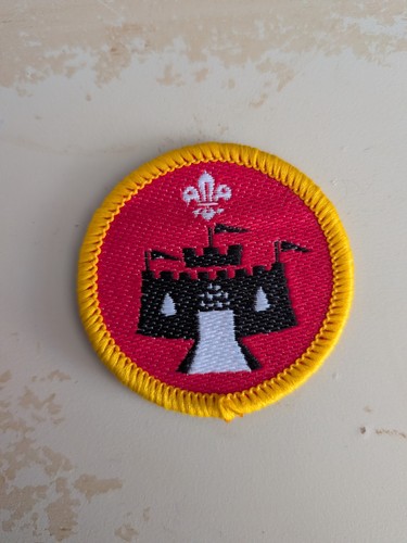 Cub activity badge local - -,