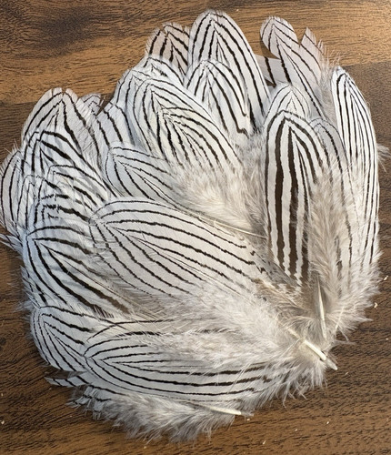 10pcs silver pheasant 11cm - pheasant, 7-11cm