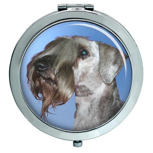 Cesky terrier compact - terrier,