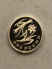 2013 Wales Floral £1 Silver