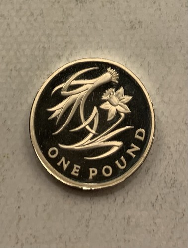 2013 wales floral - 2013, silver
