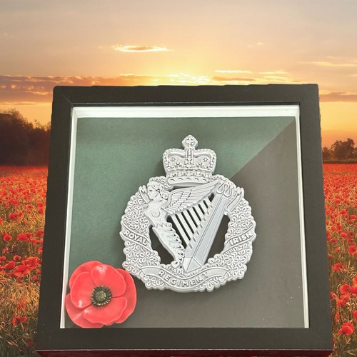 Royal irish regiment - royal,