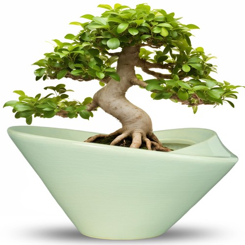 Large ceramic bonsai pot - pot, 13