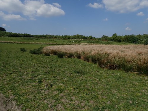 Photo 6x4 hillside - photo,