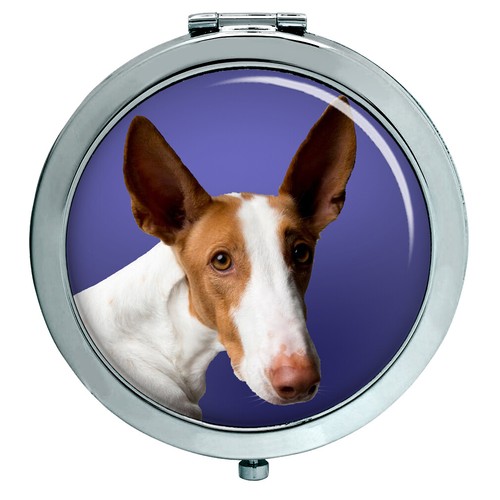 Ibizan hound compact - ibizan,