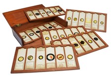 Antique Microscope Slides