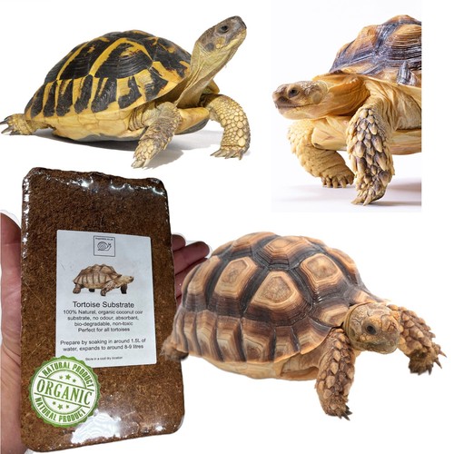 Tortoise soil vivarium - soil,,