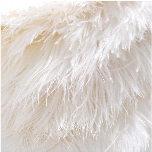 White ostrich feather - white, fan