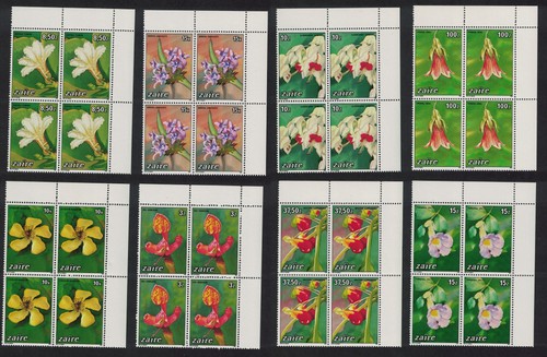 Zaire flowers orchids - zaire,