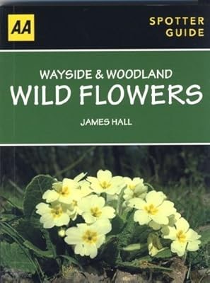 Wayside woodland wild - wayside, &