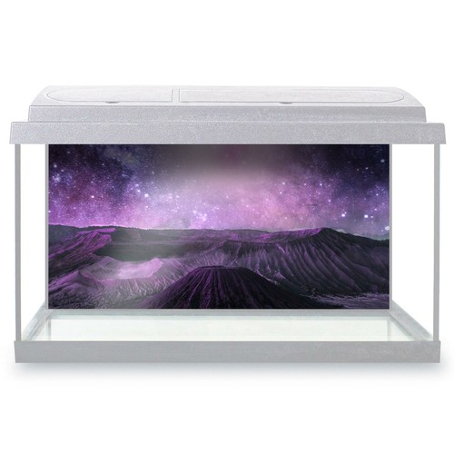 Fish tank background - tank,