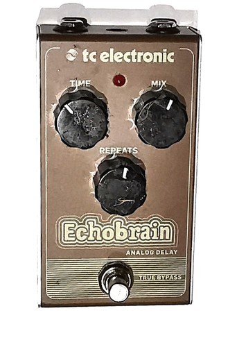 Electronic echobrain analog - tc,
