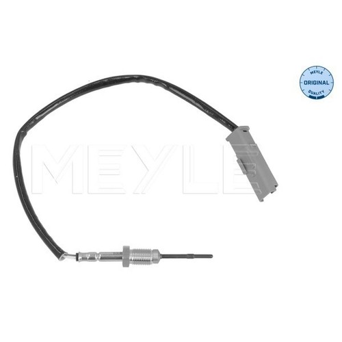 Sensor exhaust gas temperature - exhaust,