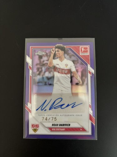 Noah darvich auto purple - auto,