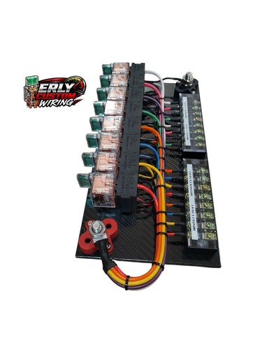 Race car fuse relay - fuse/relay, panel