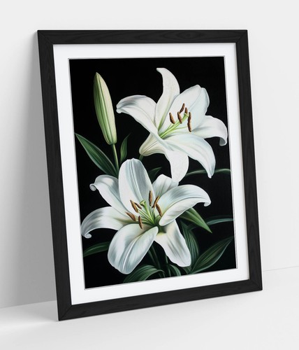 Two beautiful lily flowers - two, flowers-