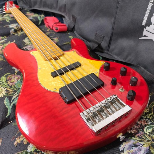 Grassroots 80bd 5 - grassroots, 5-string
