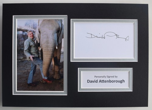 David attenborough signed - attenborough,