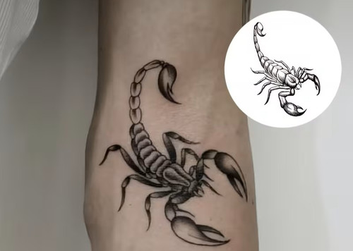 Scorpion temporary tattoo - scorpion,