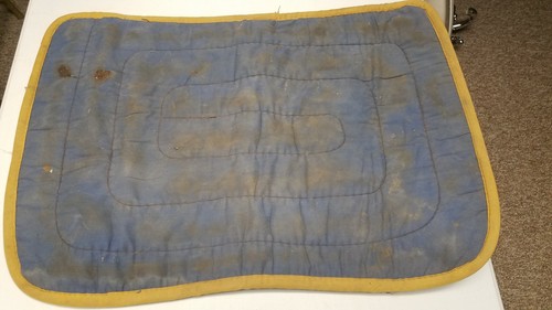 Minature horse saddle pad and - minature,