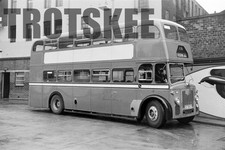 35mm Negative Alexander