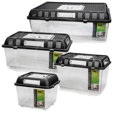 Giganterra Breeding Box