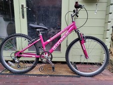 Ammaco Sienna 24 Inch Wheel