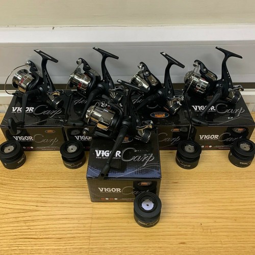 Lineaeffe vigor 40 carp - vigor,