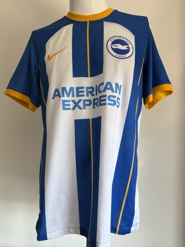 Brighton hove albion - brighton, &