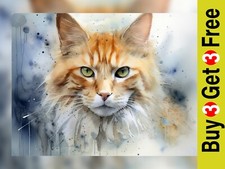 Long-Haired Orange Cat