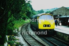 D1023 Western Fusilier