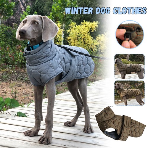 Dog jacket reflective warm - reflective,