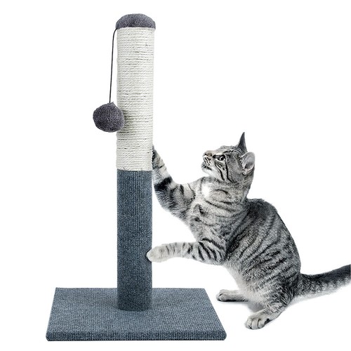 Tall large cat scratching - cat, post