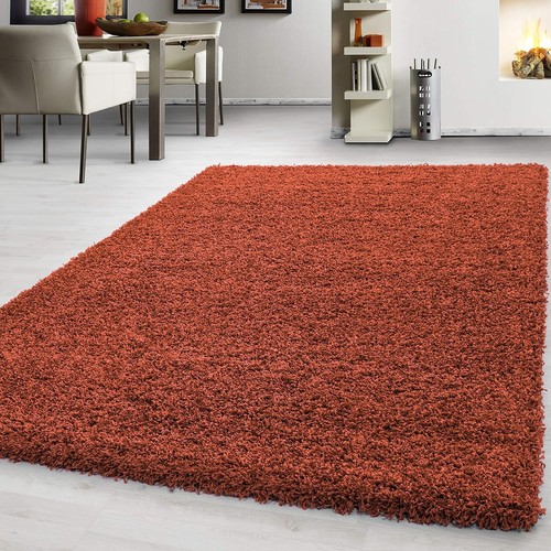Large rugs for living - for,