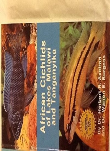 African cichlids lakes - cichlids,